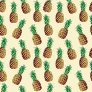 The Attentive Body blog by Elaine Konopka