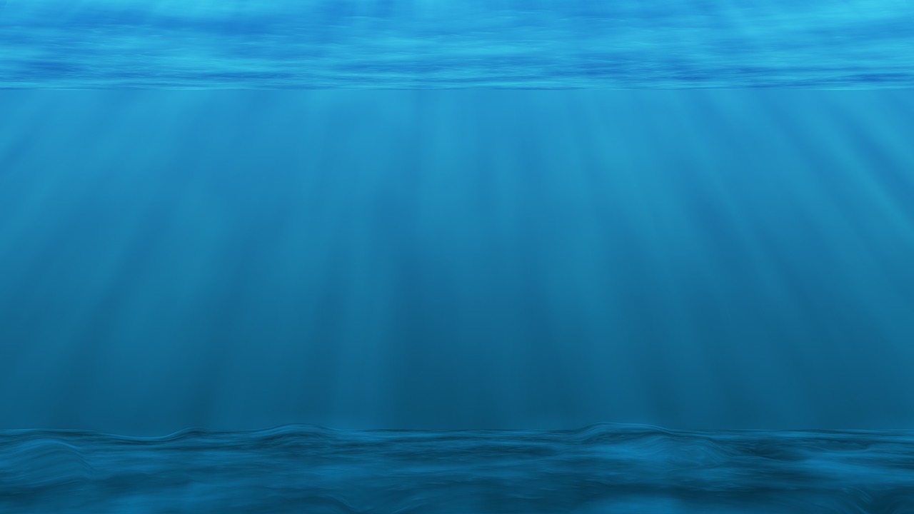 bottom of the ocean