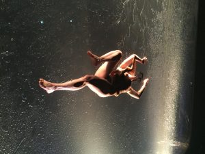 photo: Fredrik Wetterlundh