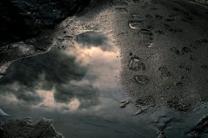 Reconciled Among the Stars