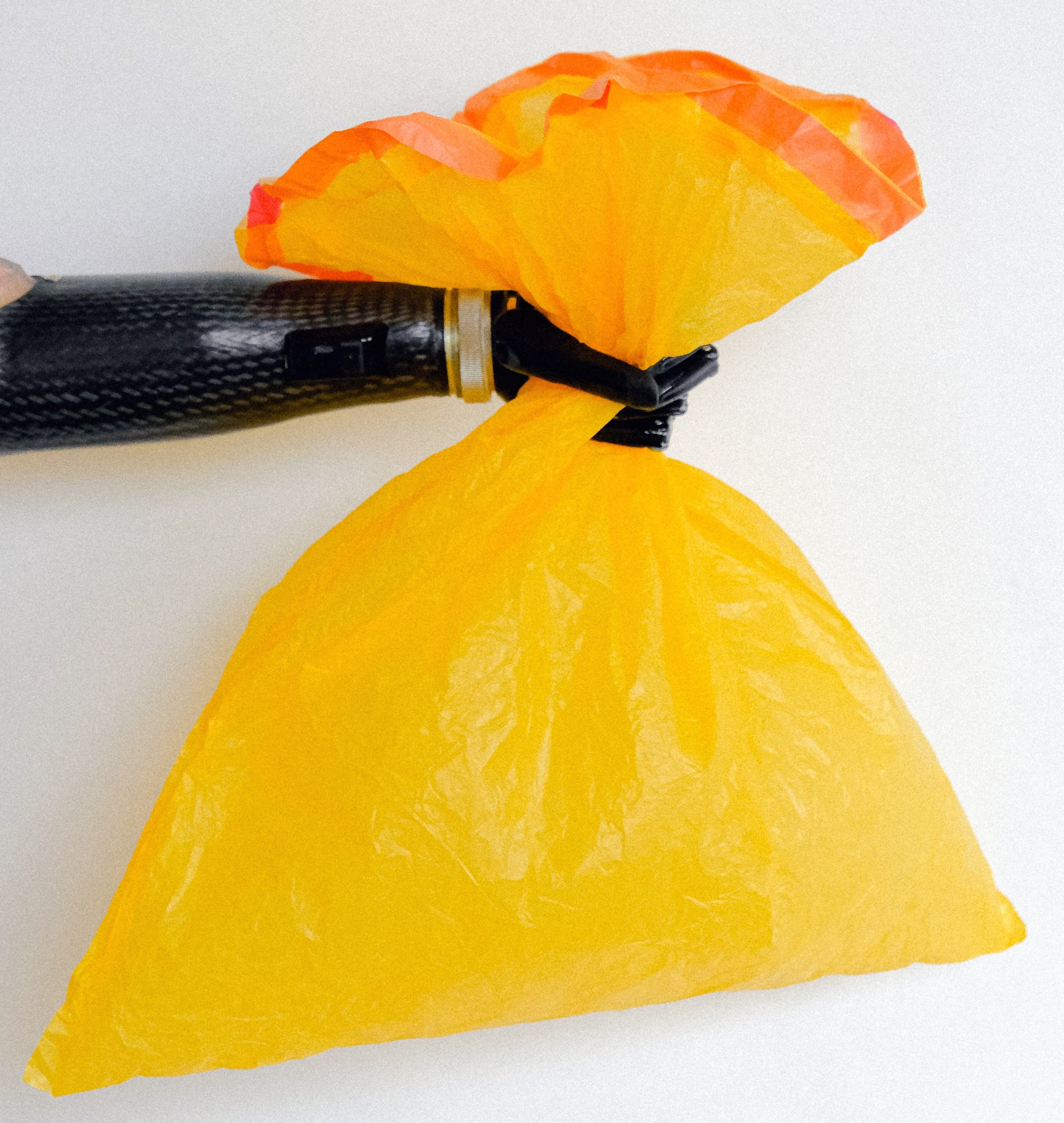 The Attentive Body blog by Elaine Konopka